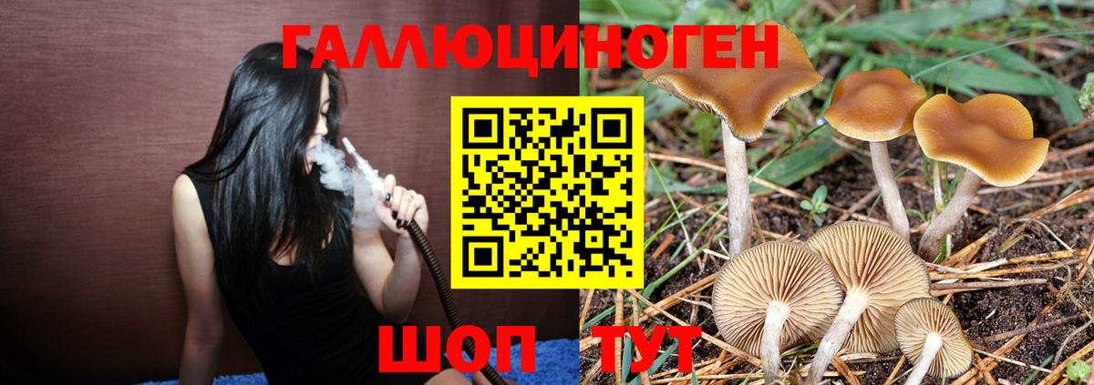 Галлюциногенные грибы прущие грибы Арсеньев